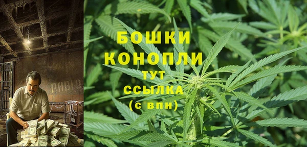 каннабис Аркадак