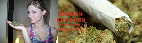 PSILOCYBIN Армянск
